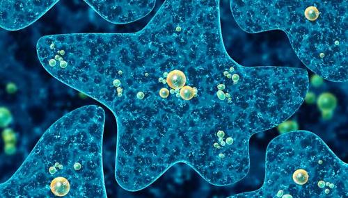 Скрытые опасности хронического колита 04