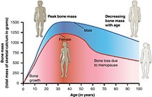 Вес во время климакса: что важно знать о физических изменениях 03