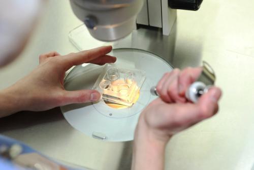 Как важно регулярное посещение врача-гинеколога для контроля качества яйцеклеток