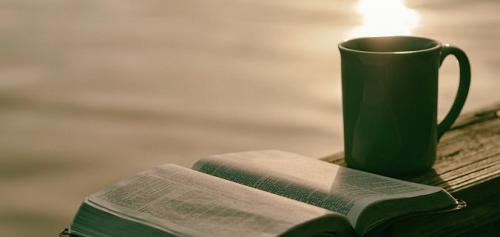 Существуют ли способы избавления от вредных привычек. Вредные привычки: примеры «худших» и «лучших» #