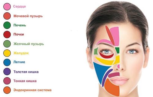 Могут ли проблемы с кишечником вызывать прыщи и кожные высыпания на лице. Появляются ли прыщи из-за проблем с желудком?