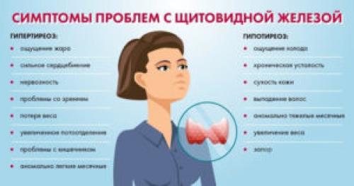Какие симптомы указывают на возможные проблемы со щитовидной железой у женщин. Симптомы заболеваний щитовидной железы