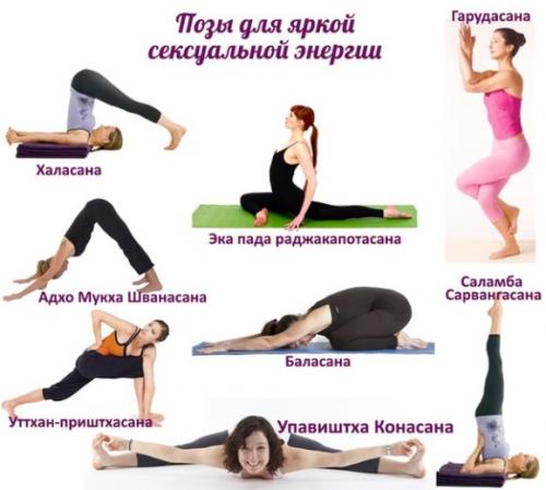 Какие асаны следует выполнять, чтобы укрепить мышцы тазового дна у женщин. Влияние асан для малого таза на здоровье женщины