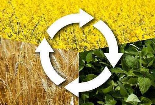 Питание для здоровья женской репродуктивной системы: что выбрать 02 Питание для здоровья женской репродуктивной системы: что выбрать 02