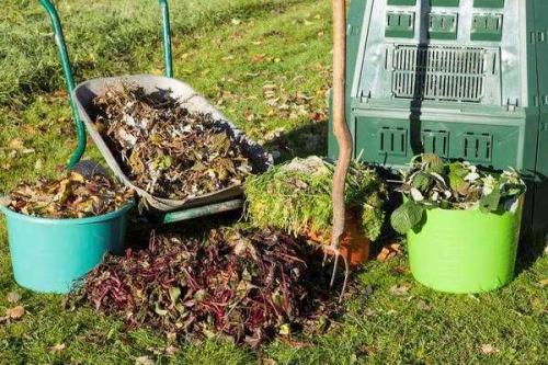 Питание для здоровья женской репродуктивной системы: что выбрать 07 Питание для здоровья женской репродуктивной системы: что выбрать 07