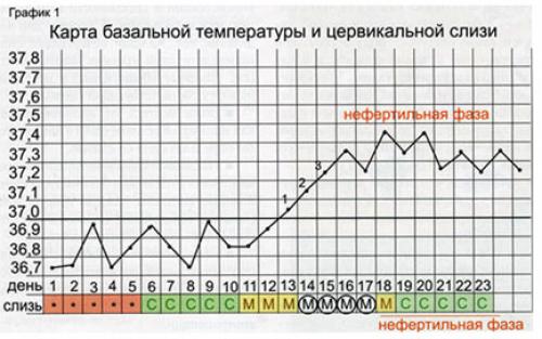 Альтернативные методы контрацепции: что нужно знать о негормональных средствах для женщин 02 Альтернативные методы контрацепции: что нужно знать о негормональных средствах для женщин 02
