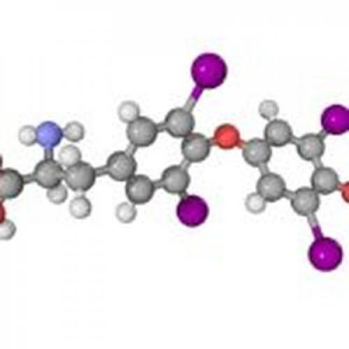 Роль витаминов в профилактике заболеваний щитовидной железы: что нужно знать 02