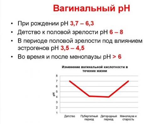 Почему важно заботиться о интимном здоровье и какие продукты помогут 01
