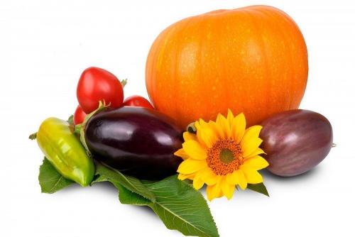 Какие продукты важны для здоровья женщин: топ-10 полезных продуктов 07 Какие продукты важны для здоровья женщин: топ-10 полезных продуктов 07