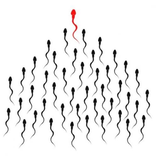 Какой вид морепродуктов рекомендуется употреблять для повышения шансов зачатия из-за полезных веществ. Продукты, повышающие качество спермы