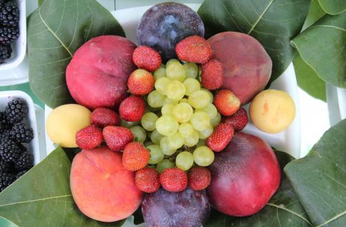 Какие 10 правил питания определили ученые. 10 правил завтрака, на которые обращают внимание даже ученые