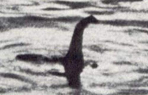 Неотъемлемые пять: мой топ-5 продуктов для женского здоровья и красоты 02