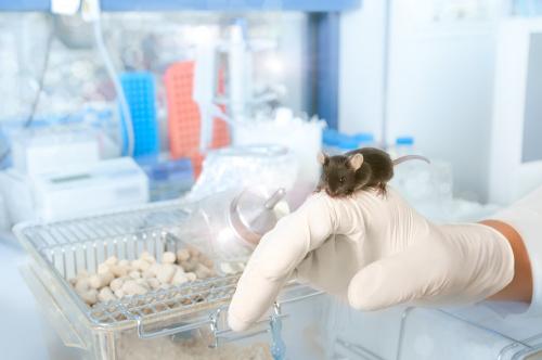 Подбор препаратов для климакса: ТОП-15 наилучших рекомендаций 01 Подбор препаратов для климакса: ТОП-15 наилучших рекомендаций 01