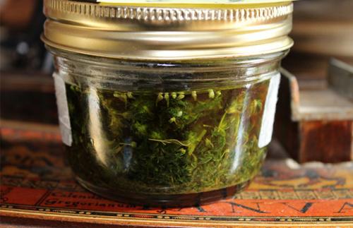 Top 5 effective methods to quickly relieve inflammation of the intestine 01 Top 5 effective methods to quickly relieve inflammation of the intestine 01